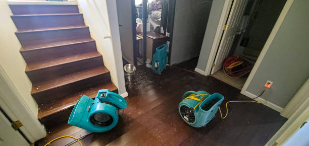 Best Mold removal after water damage  in Denham Springs, LA