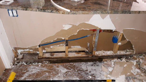 Best Water damage restoration mold remediation  in Denham Springs, LA