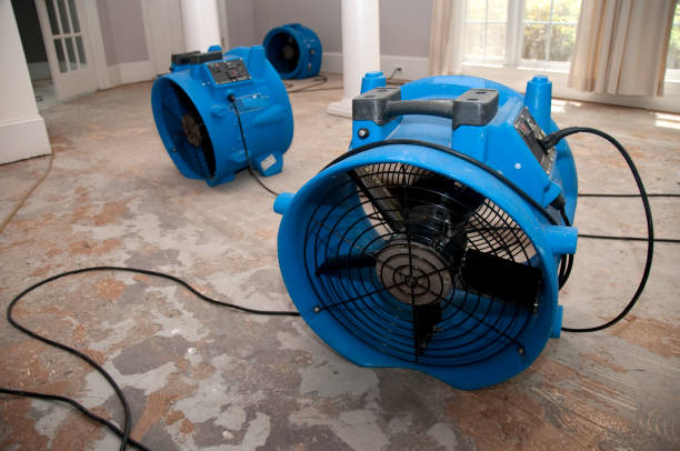 Best Flood damage cleanup  in Denham Springs, LA