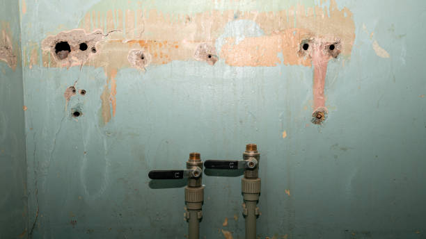 Best Sewage cleanup and water damage restoration  in Denham Springs, LA