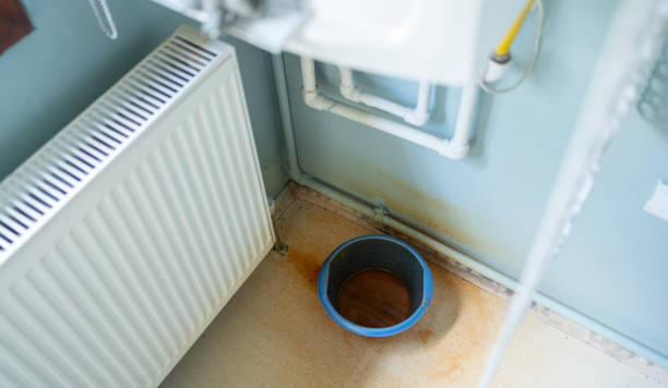 Best Local water damage restoration  in Denham Springs, LA